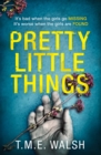 Pretty Little Things - eBook