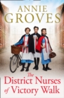 The District Nurses of Victory Walk - Book