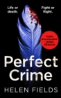 A Perfect Crime - eBook