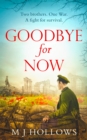 Goodbye for Now - eBook