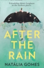 After the Rain - eBook