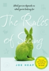 The Rules of Seeing - eBook