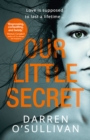 Our Little Secret - Book