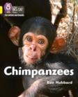 Chimpanzees : Band 03/Yellow - Book