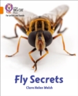 Fly Secrets : Band 06/Orange - Book