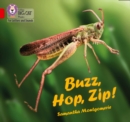 Buzz, Hop, Zip! : Band 02a/Red a - Book