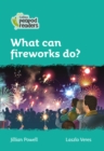 What can fireworks do? : Level 3 - Book