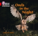Owls in the Night : Band 02b/Red B - Book