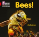 Bees! : Band 02b/Red B - Book