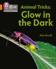 Animal Tricks: Glow in the Dark : Band 06/Orange - Book