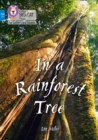 In a Rainforest Tree : Band 04/Blue - Book