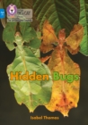 Hidden Bugs : Band 04/Blue - Book