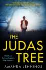 The Judas Tree - Book