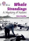 Whale Strandings: A Mystery of Nature : Band 10+/White Plus - Book