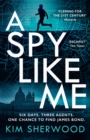 A Spy Like Me - eBook