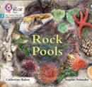 Rock Pools : Phase 3 - Book