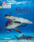 Sharks : Phase 5 Set 1 - Book