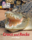 Crocs and Rocks : Phase 5 Set 4 - Book