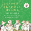 Adventures in Brambly Hedge - eAudiobook