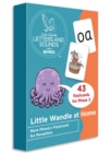 Little Wandle at Home More Phonics Flashcards for Reception - Book