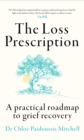 The Loss Prescription : A practical roadmap to grief recovery - eBook