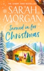 Snowed In For Christmas - eBook