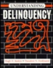 Understanding Delinquency - Book