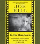 In the Rundown - eAudiobook