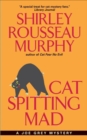 Cat Spitting Mad - eBook
