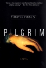 Pilgrim : A Novel - eBook