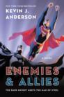 Enemies & Allies : A Novel - eBook