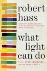 What Light Can Do : Essays on Art, Imagination, and the Natural World - Book