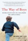 The Way of Boys : Promoting the Social and Emotional Development of Young Boys - eBook