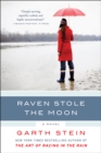 Raven Stole the Moon : A Novel - eBook