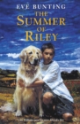 The Summer of Riley - eBook