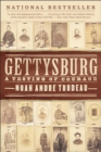 Gettysburg : A Testing of Courage - eBook