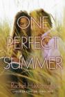 One Perfect Summer : Labor of Love and Thrill Ride - eBook