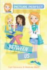 Picture Perfect #4: Between Us - eBook