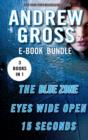 The Andrew Gross Thriller : The Blue Zone, Eyes Wide Open, and 15 Seconds - eBook