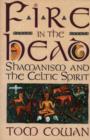 Fire in the Head : Shamanism and the Celtic Spirit - Book