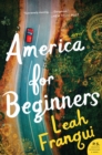 America for Beginners : A Novel - eBook