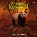 Bamboo Kingdom #4: The Dark Sun - eAudiobook