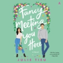 Fancy Meeting You Here : A Novel - eAudiobook