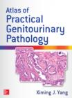 Atlas of Practical Genitourinary Pathology - eBook