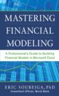 Mastering Financial Modeling: A Professional's Guide to Building Financial Models in Excel - eBook