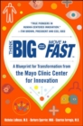 Think Big, Start Small, Move Fast: A Blueprint for Transformation from the Mayo Clinic Center for Innovation - Book