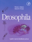 Drosophila : A Guide to Species Identification and Use - eBook
