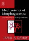 Mechanisms of Morphogenesis - eBook
