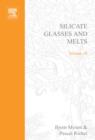 Silicate Glasses and Melts : Properties and Structure - eBook