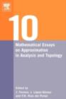 Ten Mathematical Essays on Approximation in Analysis and Topology : Ten Mathematical Essays - eBook